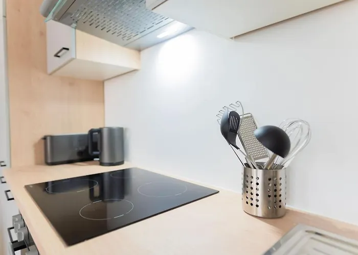 Premium Penthouse 2-floors With Private Terrace Near Prater And Center Daire